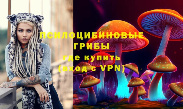 прущий лед Алзамай
