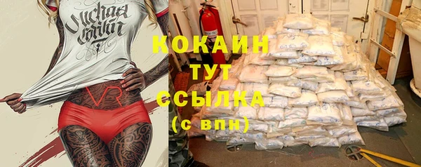 прущий лед Алзамай
