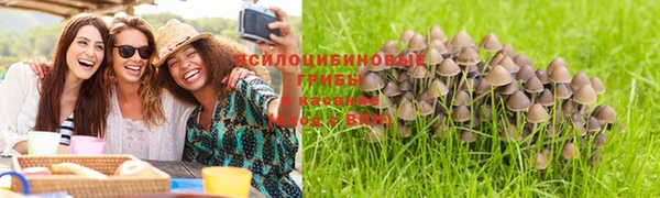 кристаллы Алексин