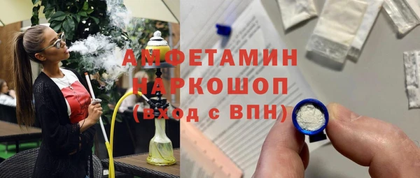 прущий лед Алзамай